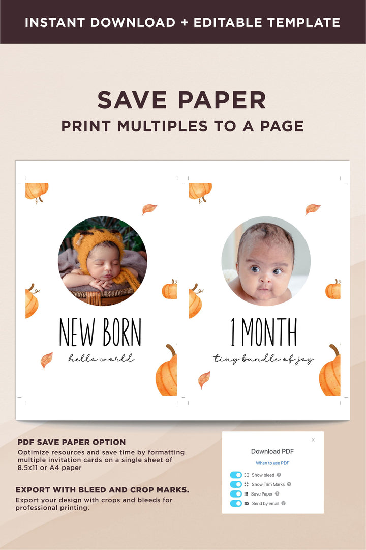 Our Little Pumpkin is Turning One - Milestone Birthday Banner - Vowpaperie